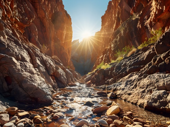 Desert Canyon Stream and Sunlight