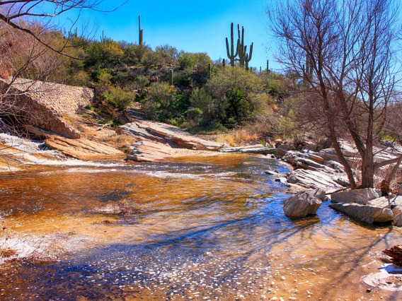 Sabino Canyon Creek Tucson AZ
