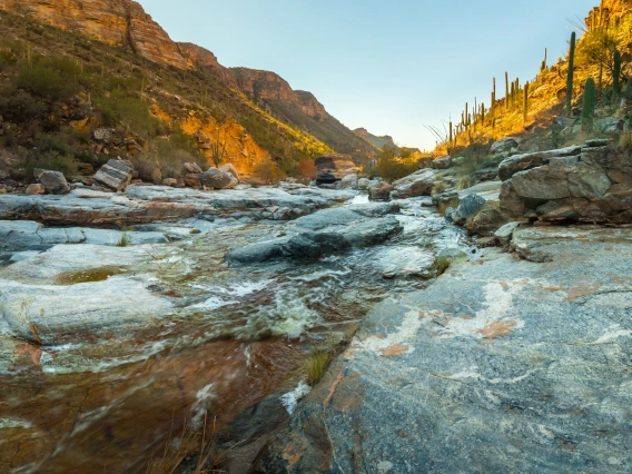 Sabino Creek through Bear Canyon Tucson Arizona