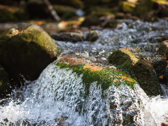 Water in a Stream