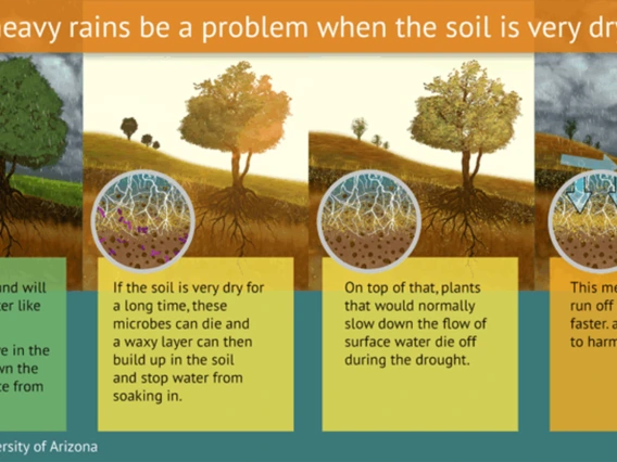 Water Whys Why can heavy rains be a problem when the soil is very dry