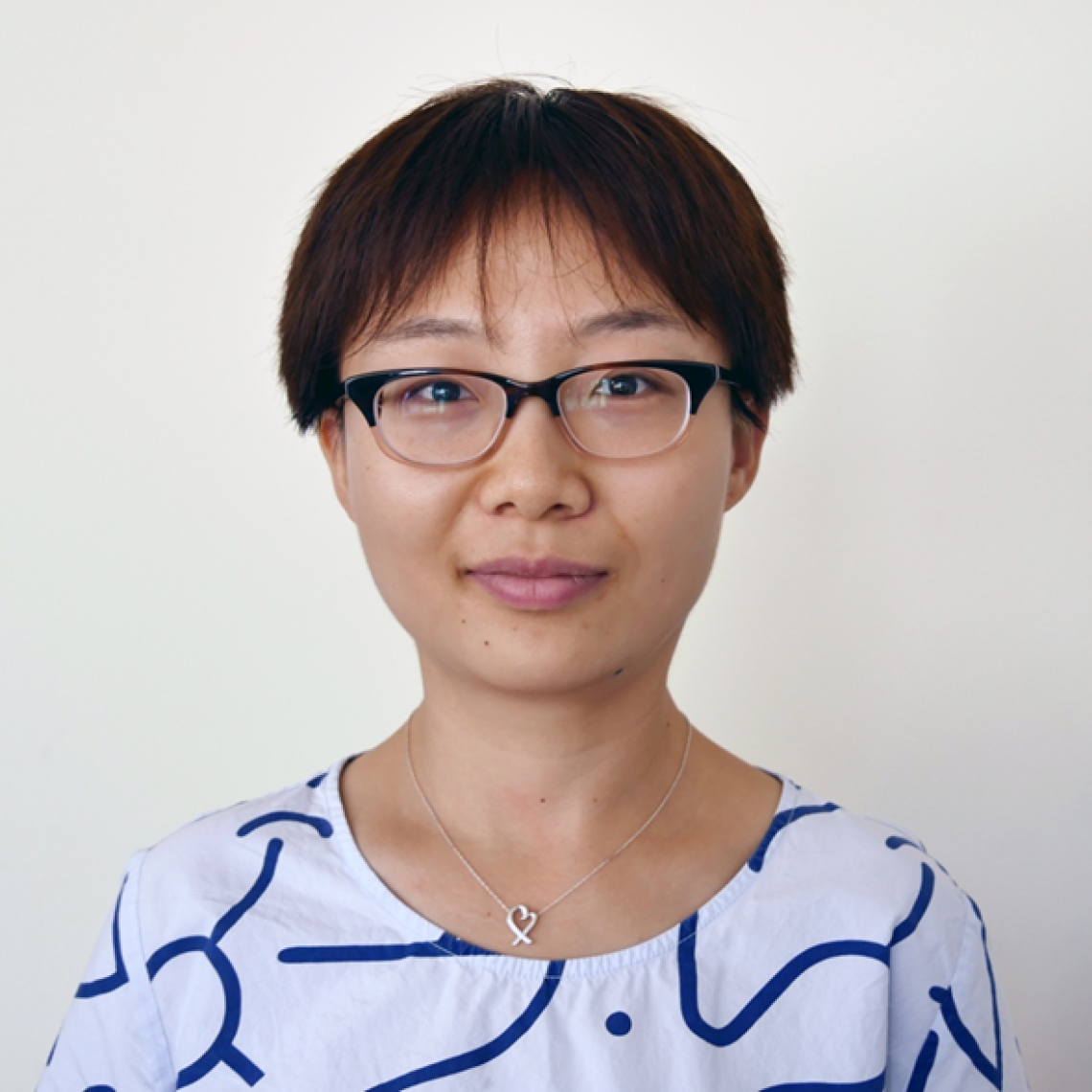 Qi Li, Assistant Professor, School of Civil and Environmental Engineering, Cornell University