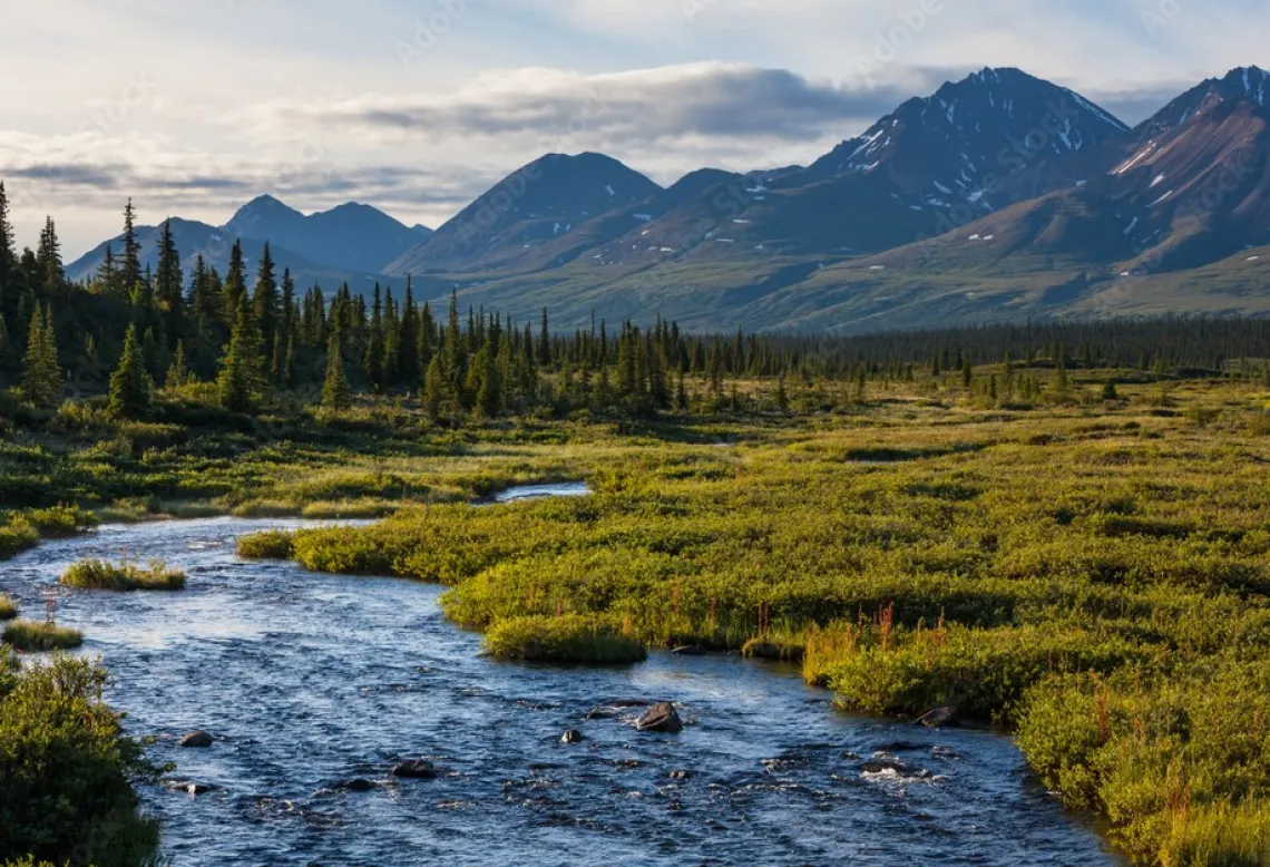 Alaska River and Mountains