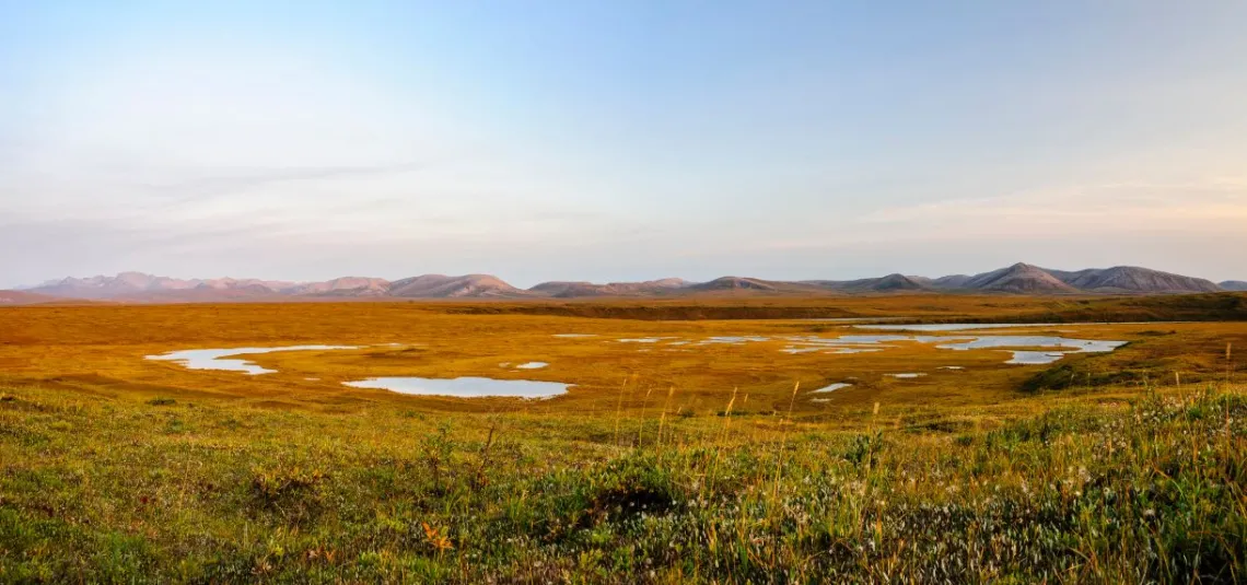 Alaska Arctic Wetlands