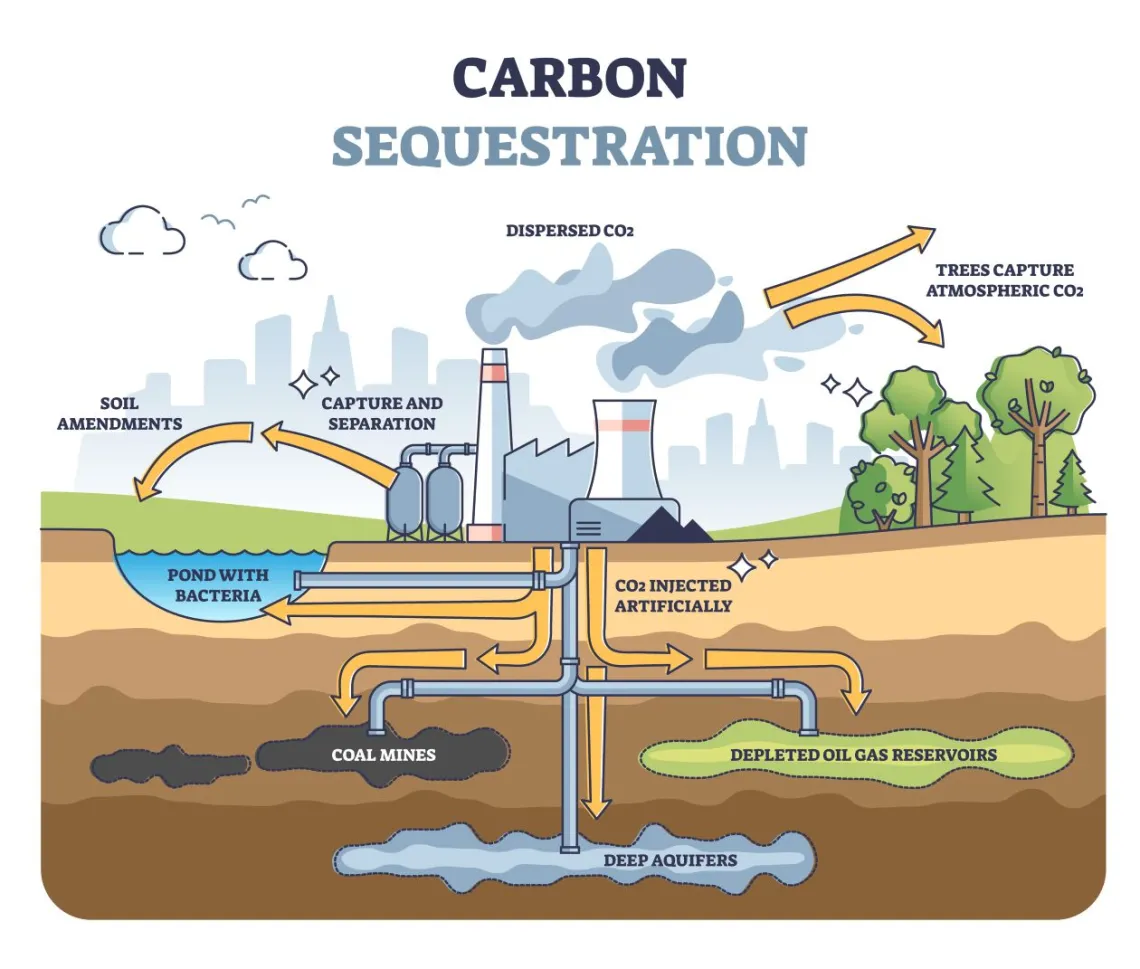 Carbon Sequestration