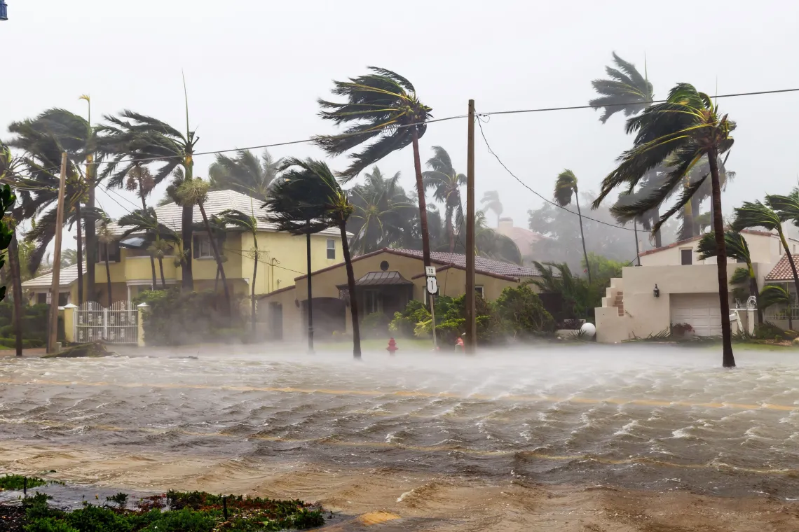 Floodin and Hurricane Damage