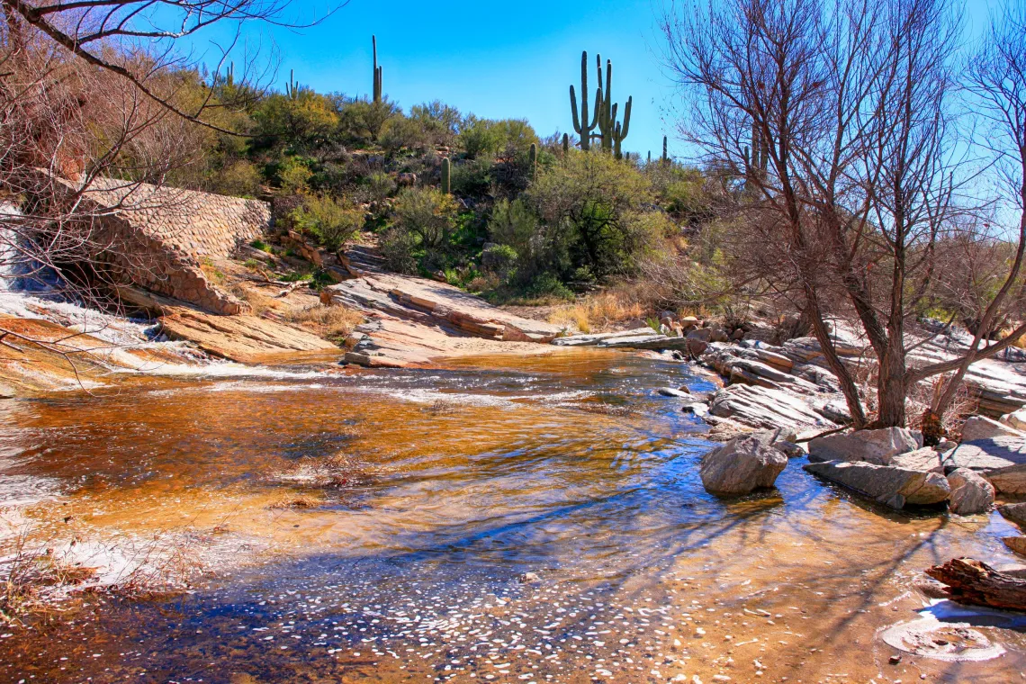 Sabino Canyon Creek Tucson AZ