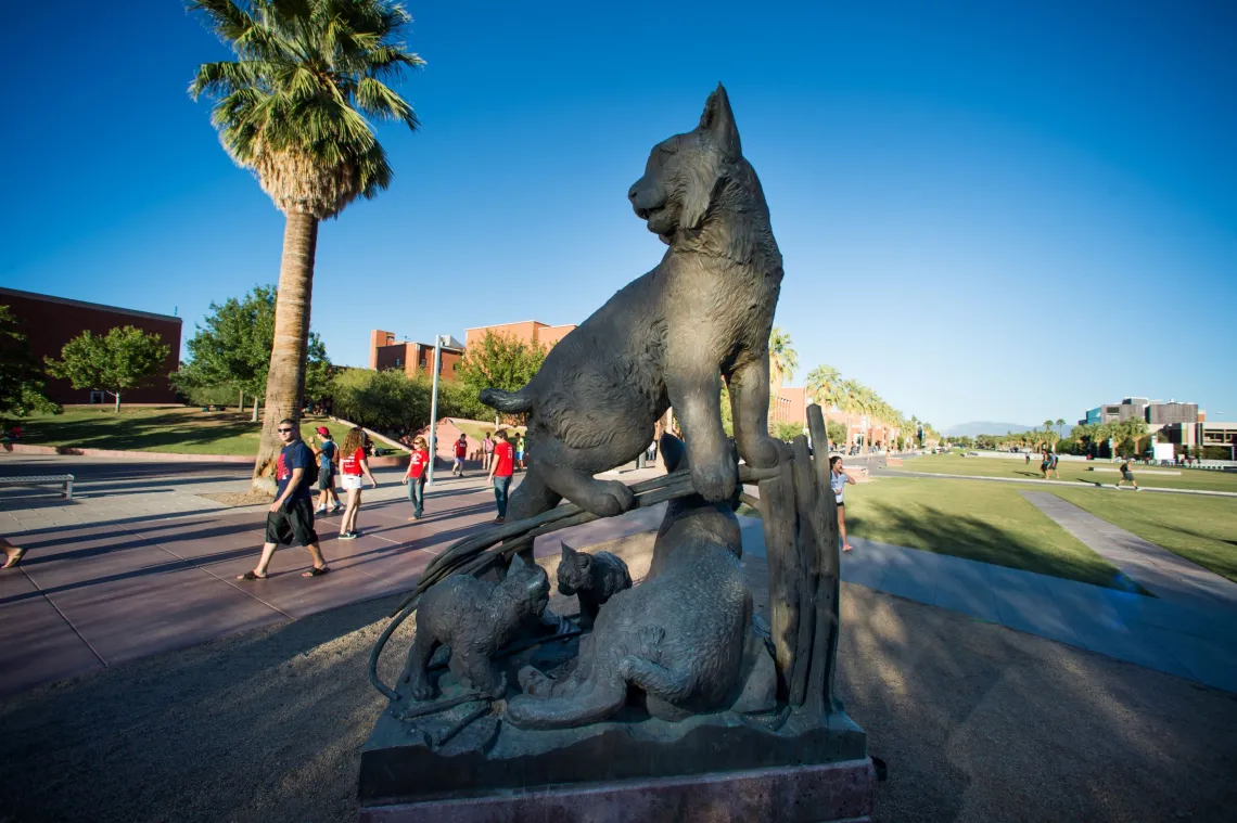 The "Wildcat Family" sculpture, designed by Nicholas Wilson and dedicated to then President Peter Likens and his wife Pat, was installed on the University of Arizona Campus in 2004.