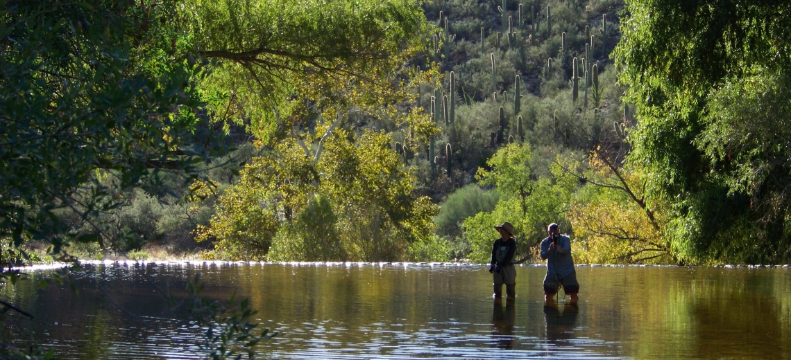 Sabino Canyon