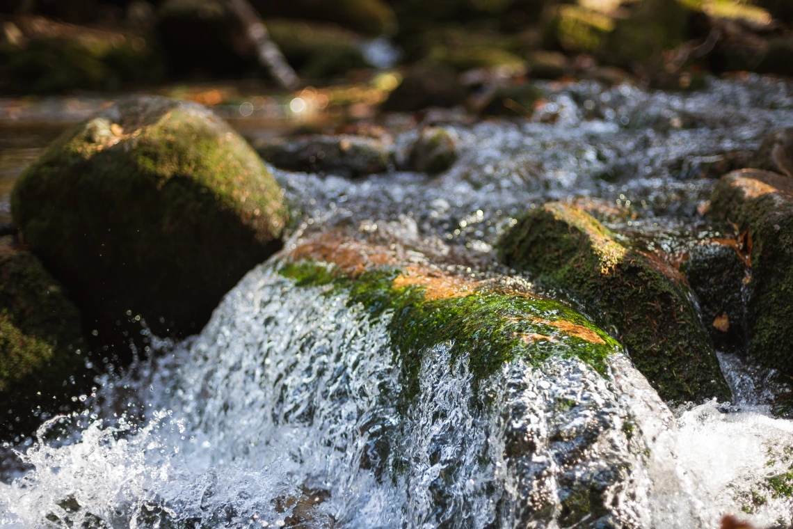 Water in a Stream