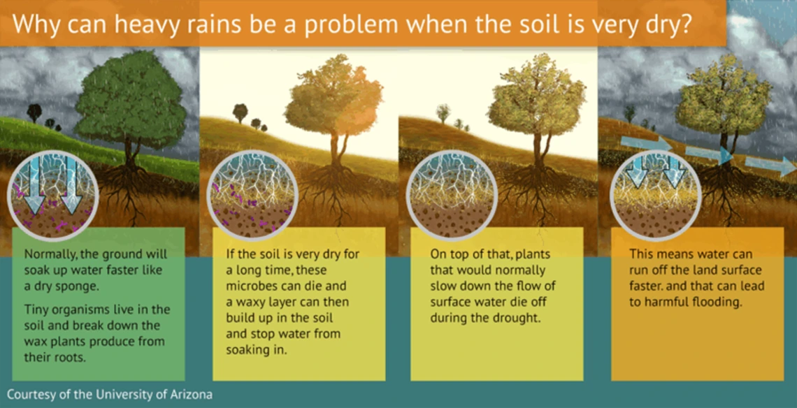 Water Whys Why can heavy rains be a problem when the soil is very dry