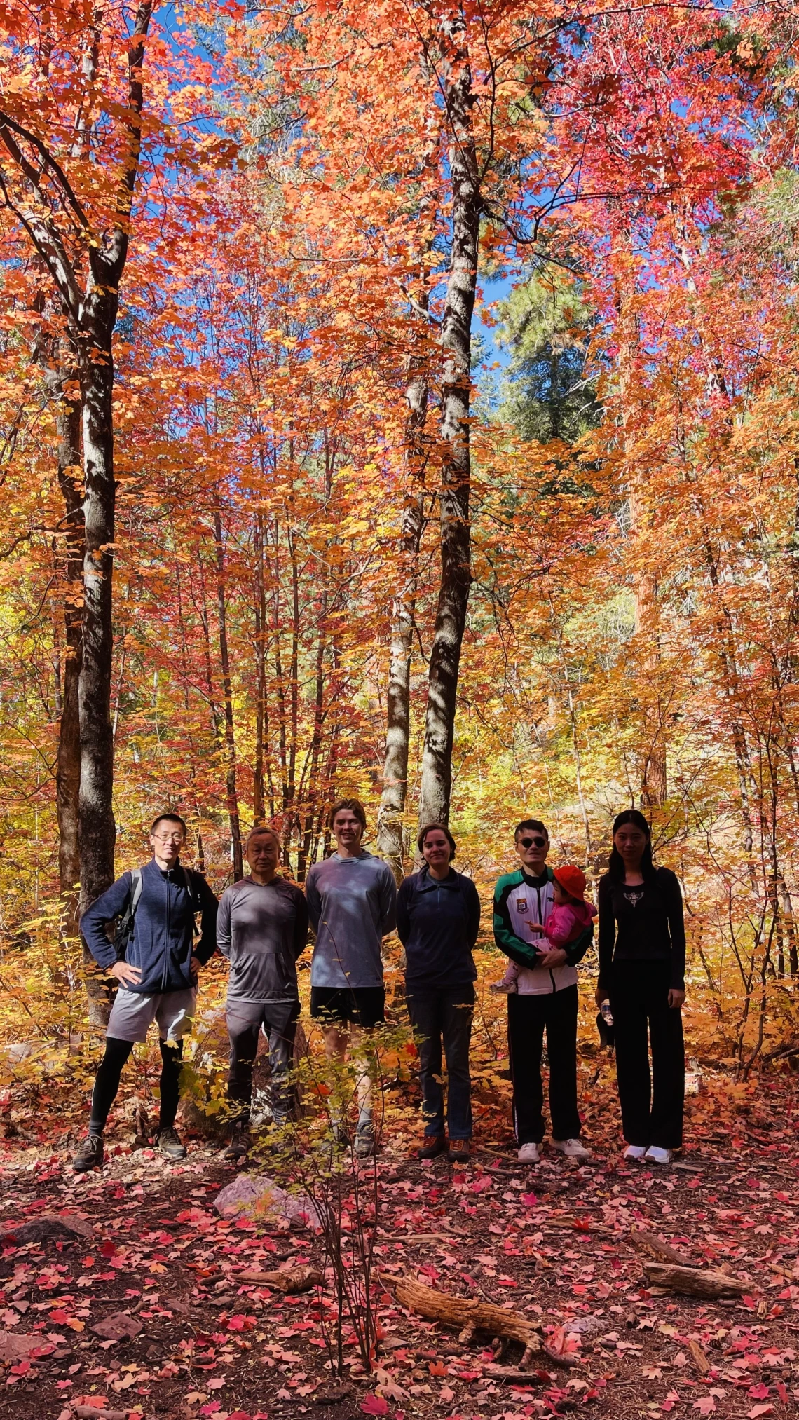 Zeng Research Group Nov 2025 Enjoy the Fall Scenery on Mount Lemmon