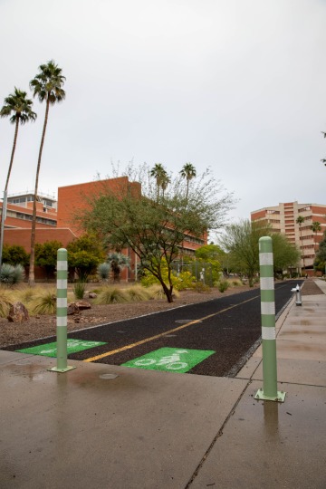 Green Stormwater Infrastructure Campus Living Lab-2