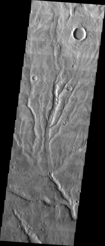 Satellite imagery of the Warrego Valles a branching valley network on Mars