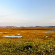 Alaska Arctic Wetlands