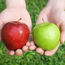 Comparing apples to apples