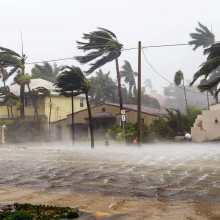 Floodin and Hurricane Damage