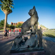 The "Wildcat Family" sculpture, designed by Nicholas Wilson and dedicated to then President Peter Likens and his wife Pat, was installed on the University of Arizona Campus in 2004.