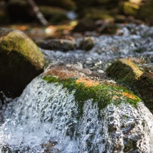 Water in a Stream