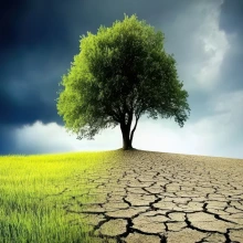 Nature Duality Fertile Land and Dry Land