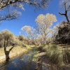 Cienega Creek in Winter by Brian Tyler Thompson