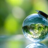 Image Representing Doctoral Fellowship in Hydrology