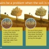 Water Whys Why can heavy rains be a problem when the soil is very dry