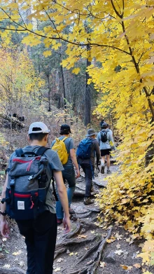 Zeng Research Group Nov 2025 Hike Along Marshall Gulch-Aspen Trail Loop Mount Lemmon